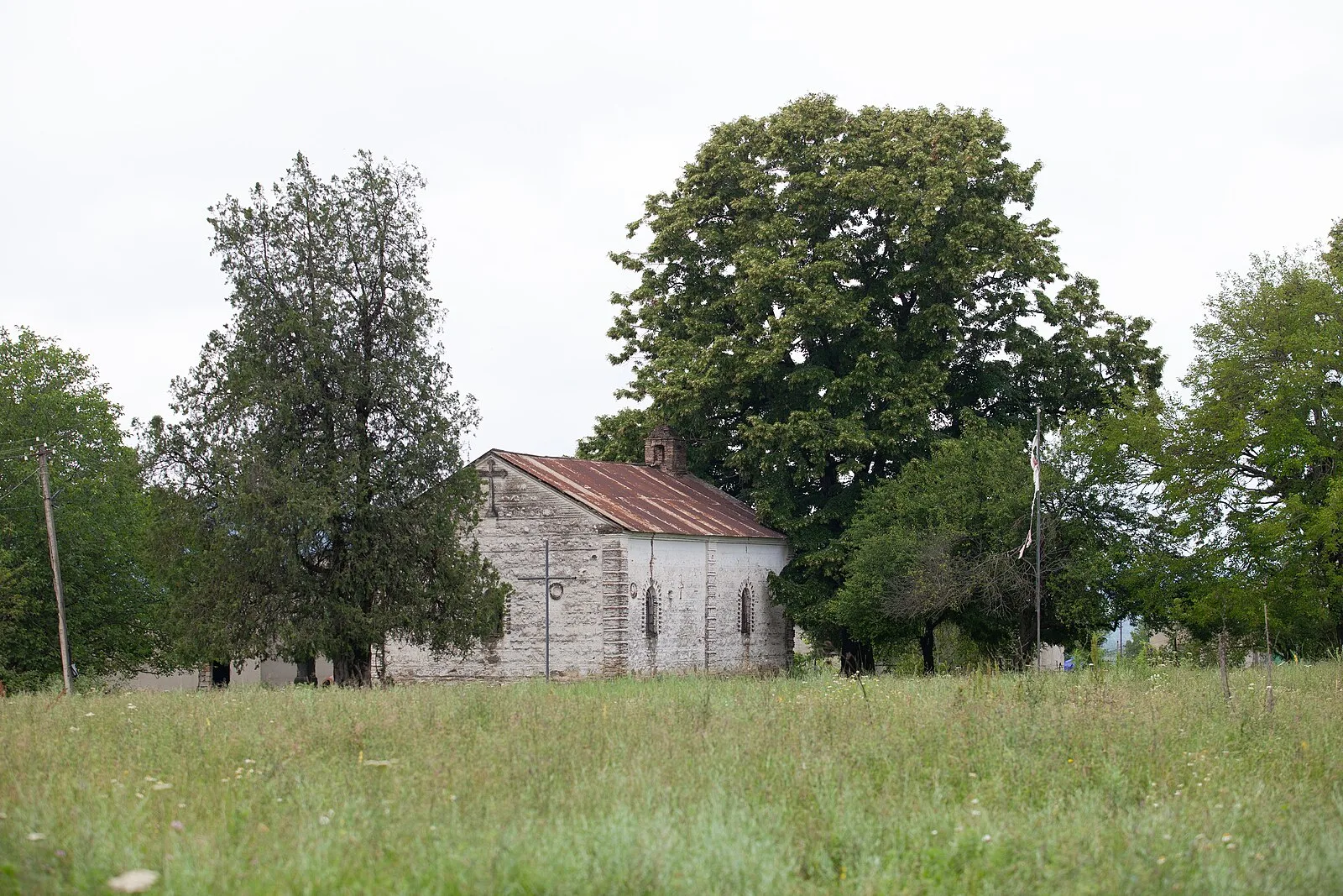 Ziari